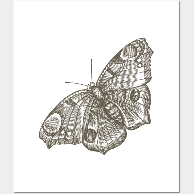 Dramabite Vintage butterfly illustration Wall Art by dramabite